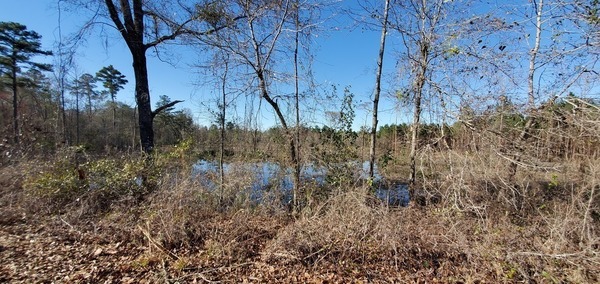 Wet logging