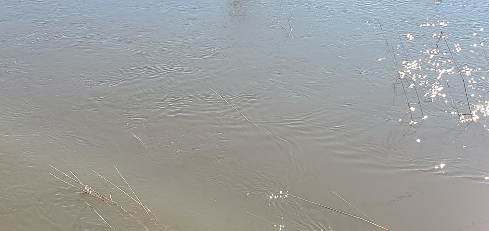 River water running out from inland bridge