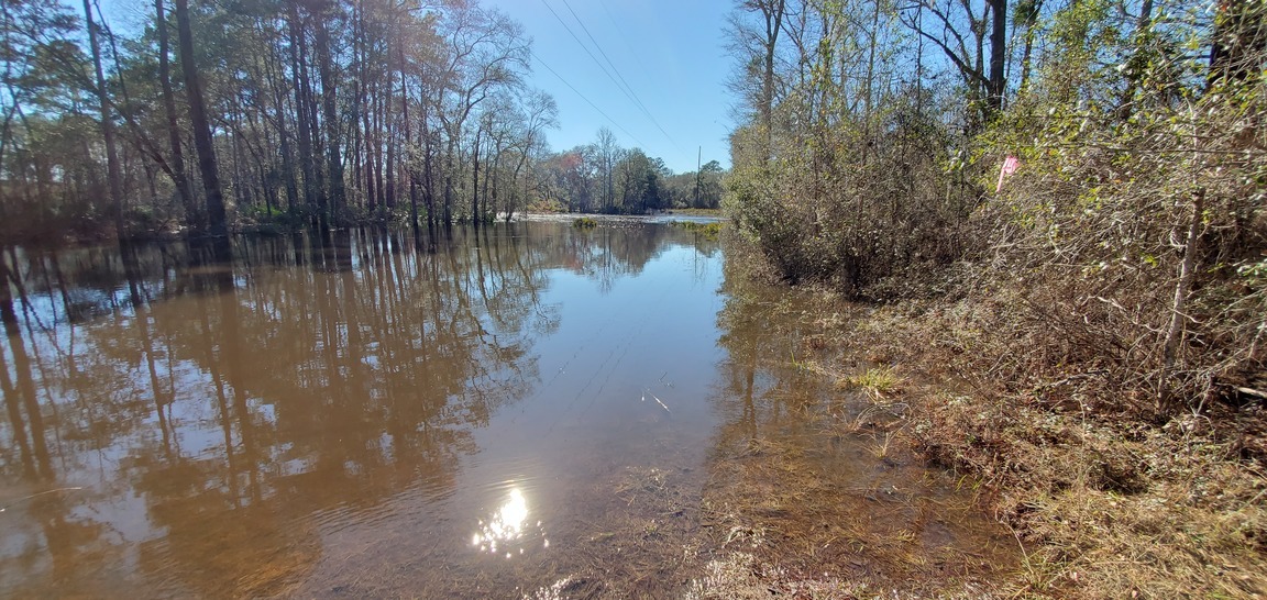 The distant shrubbery is not the riverbank