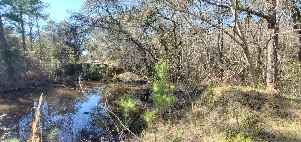 Gully full before Blue Springs Road