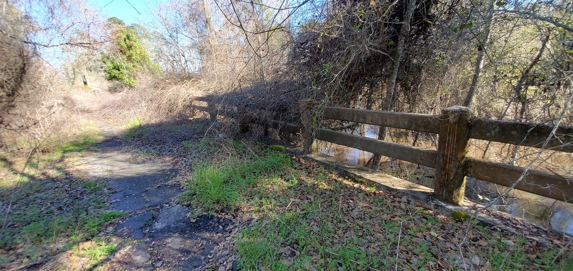 Wet under vines downstream