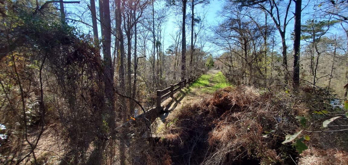 Spook Bridge from across gully