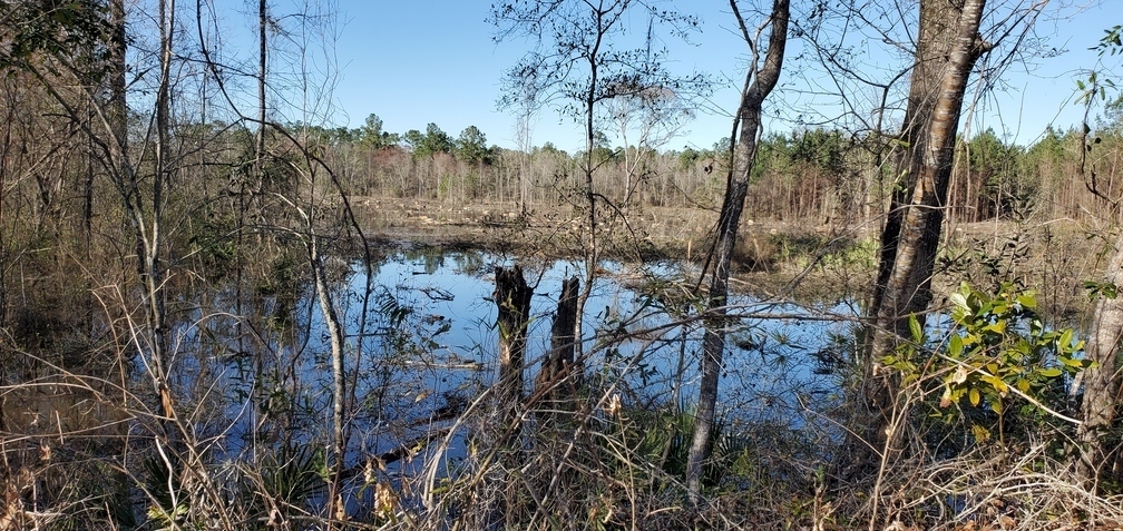 Downstream logging flooded