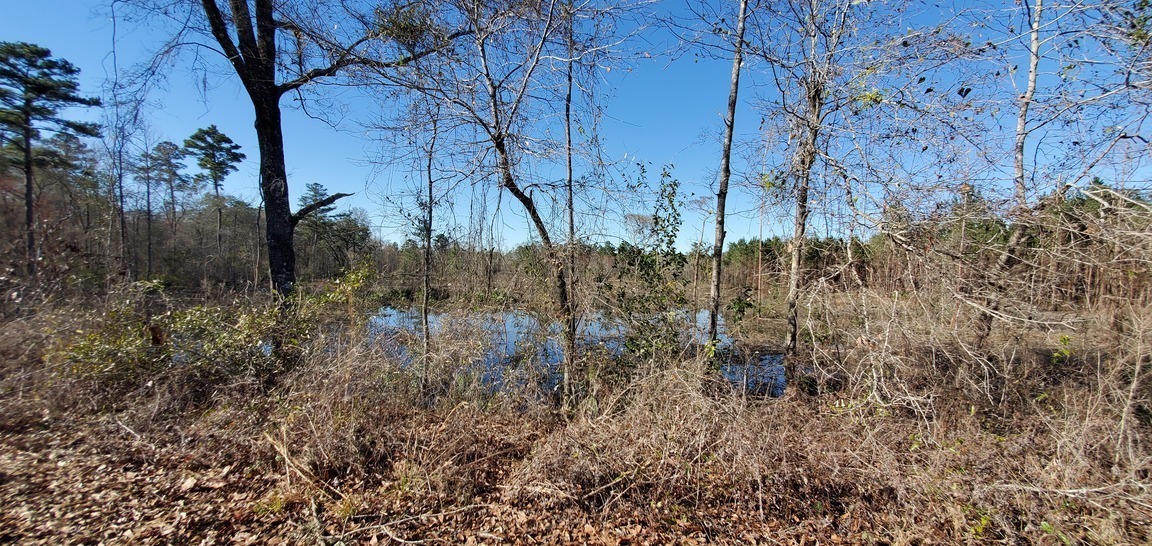 Wet logging