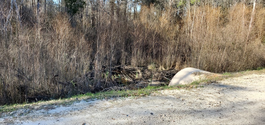 Downstream culvert Tiger Creek