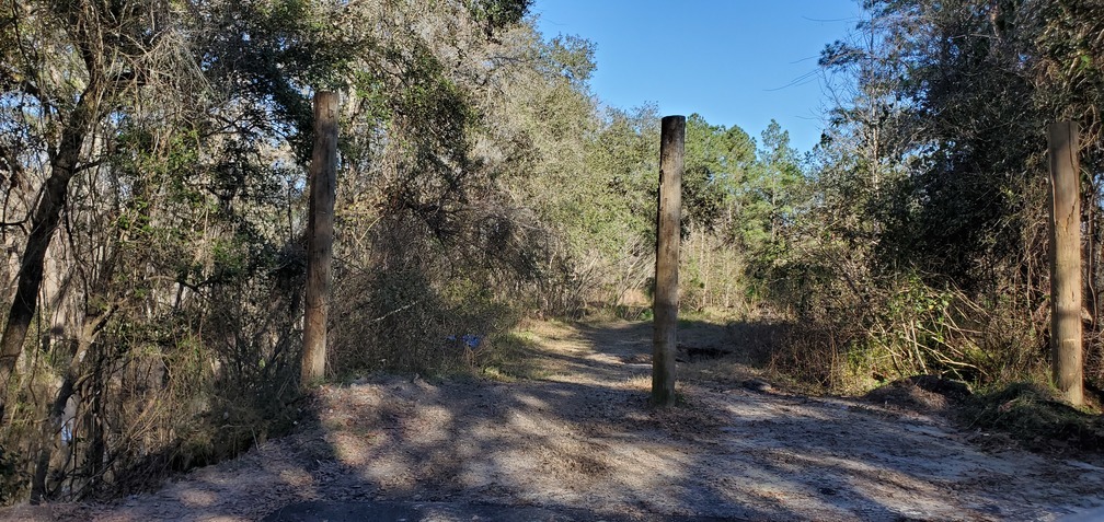 End of Blue Springs Road