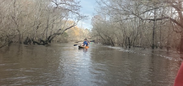 Mayor Huck Finn, 09:08:02, 30.8505671, -83.3483762