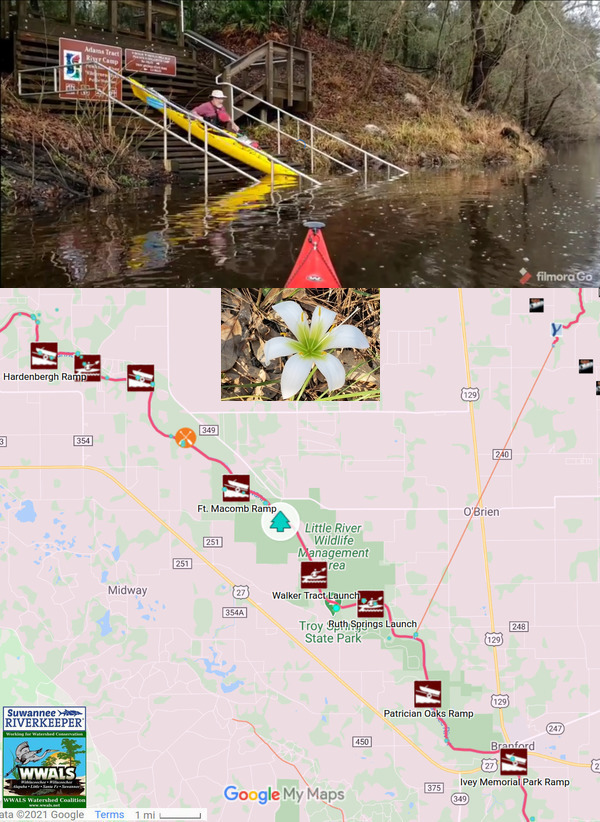 Adams Tract River Camp, Spring lily, map, Suwannee River Wilderness Trail