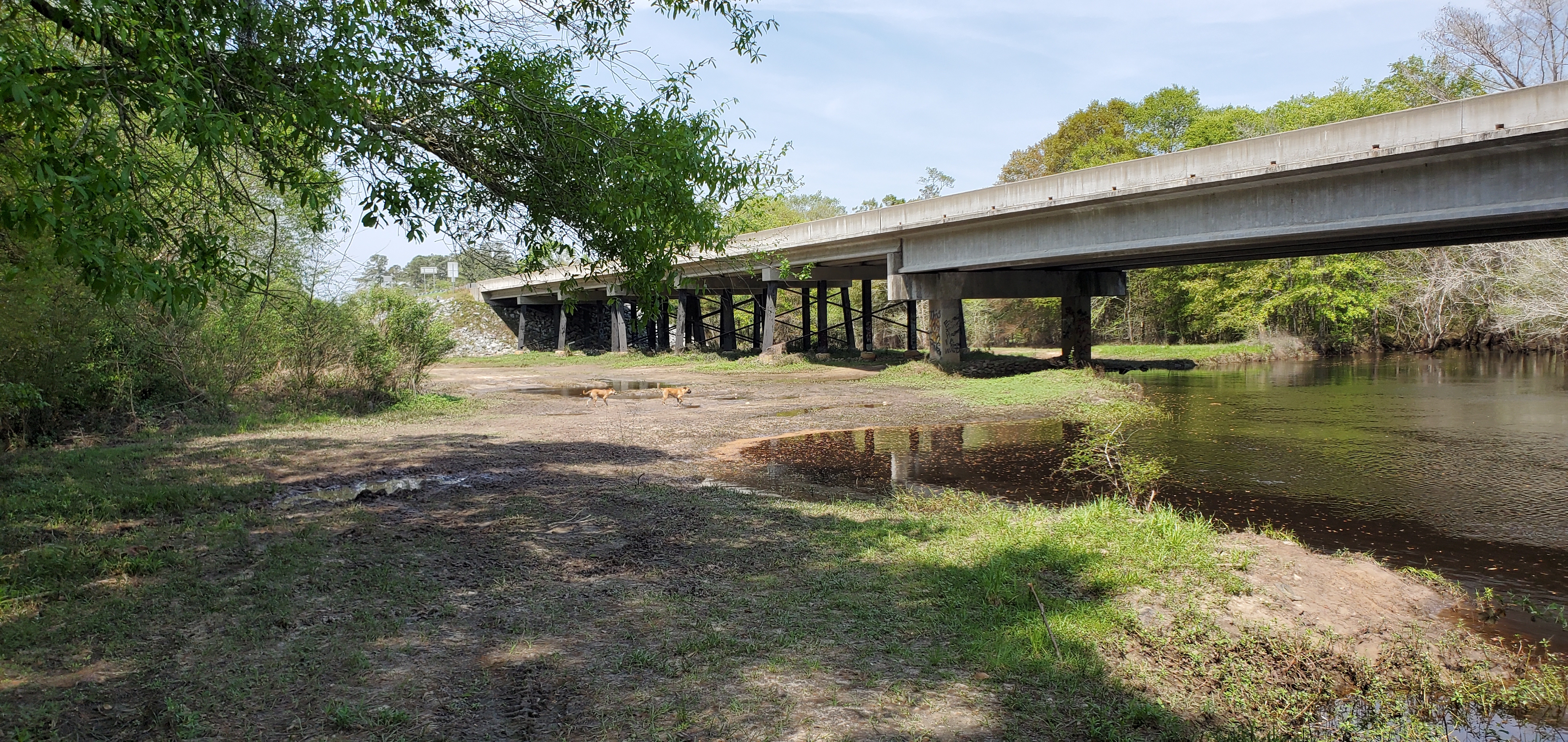 Nellie, Honeybun, GA 37 Bridge, 12:48:25, 31.1200550, -83.3217640