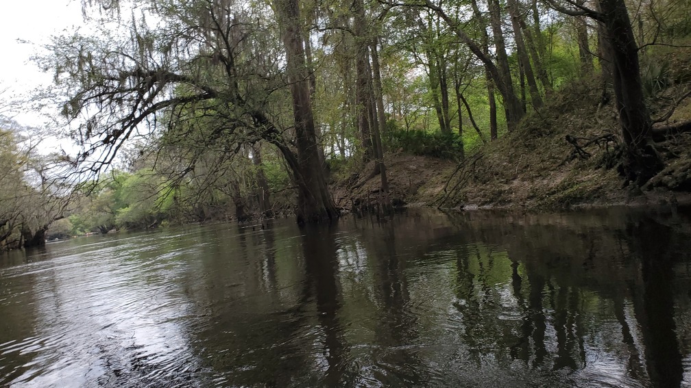 Cypress knees, 11:02:35, 30.8375542, -83.3688342