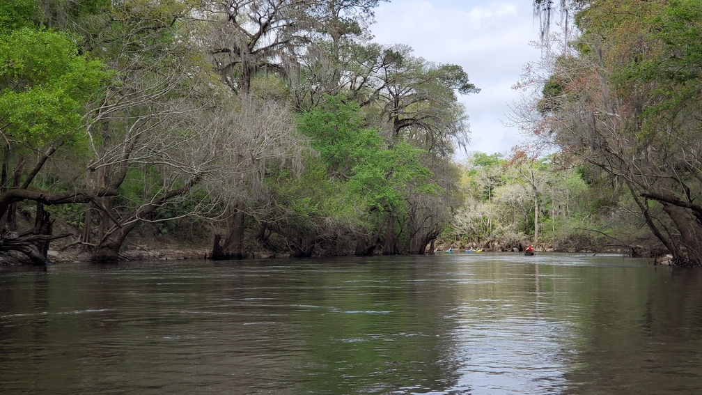 Paddlers around the left bend, 11:36:25, 30.8275500, -83.3889290