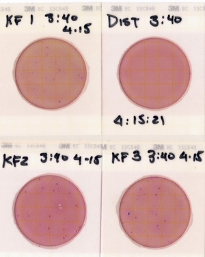 [Plates, Knights Ferry Boat Ramp 2021-04-15]