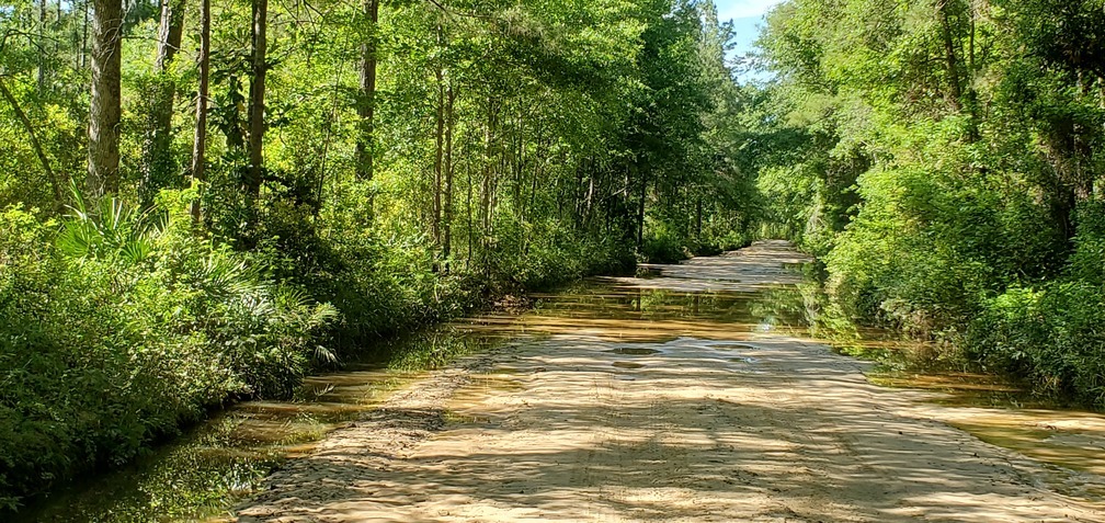 Yes, there is water across the road, 16:51:30, 31.0044398, -83.4539378