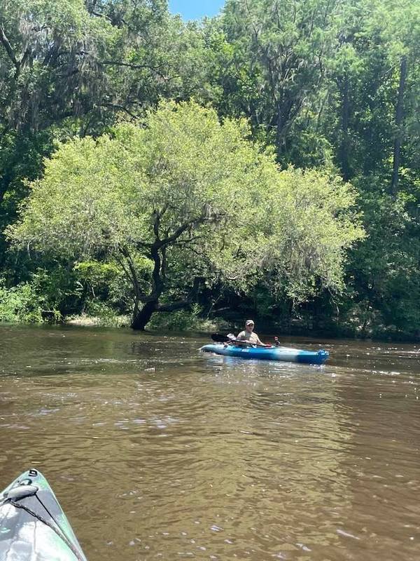 Alapaha River Confluence