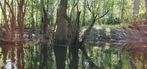 Creek or runoff?, 10:41:12, 30.8824614, -83.3241169