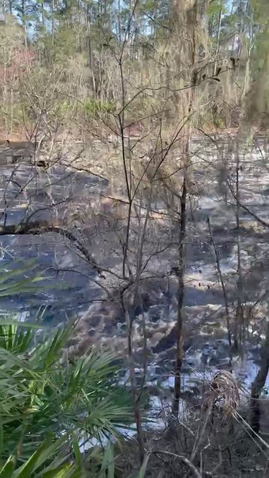 Big Shoals flowing good, 64 feet, 2021-02-20 --Bobby McKenzie