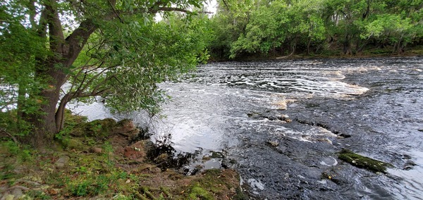 Shelf and downstream, 11:20:38, 30.3401412, -82.6829357