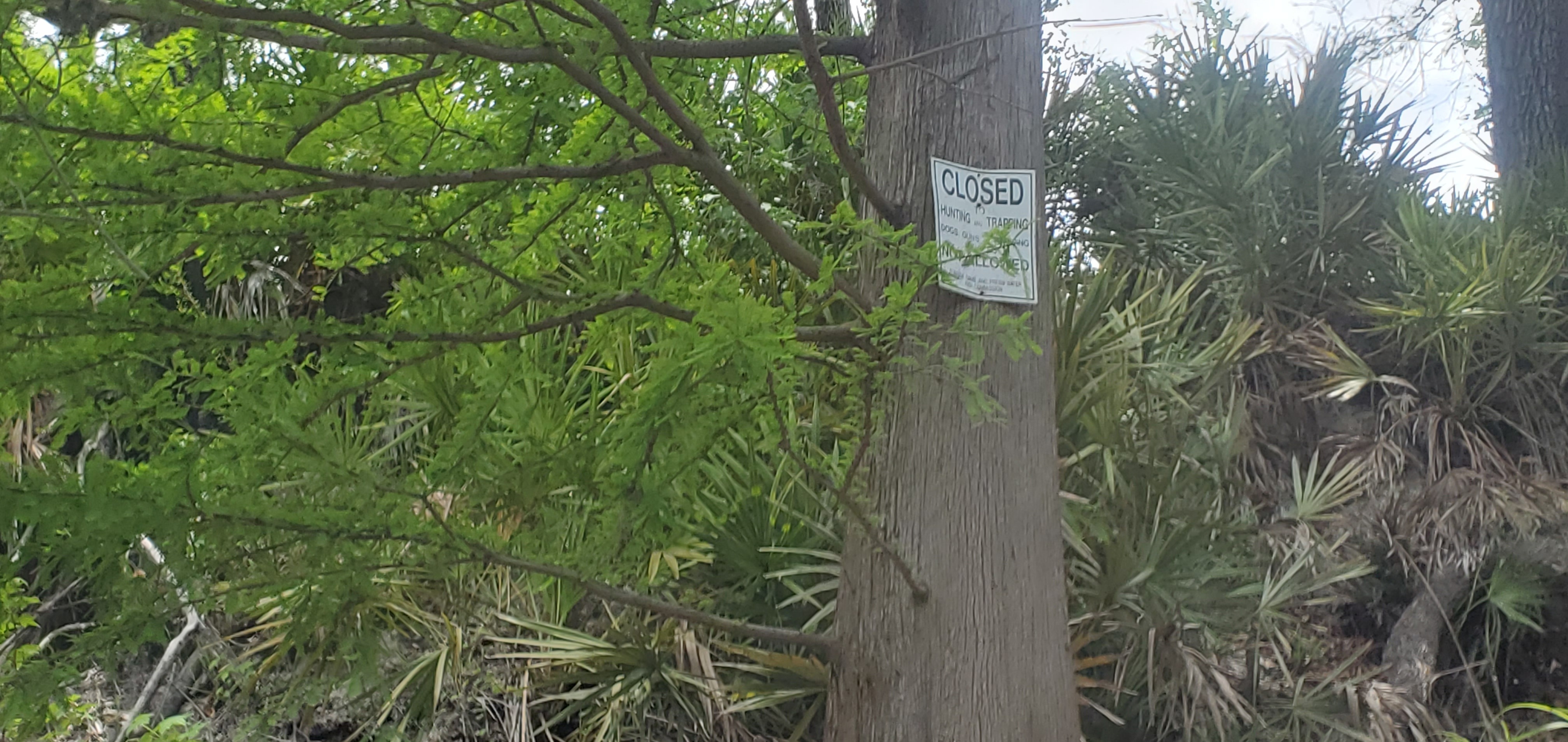 CLOSED Hunting and Trapping Dogs Guns Trapping NOT ALLOWED, 12:27:04, 30.3330308, -82.6967440