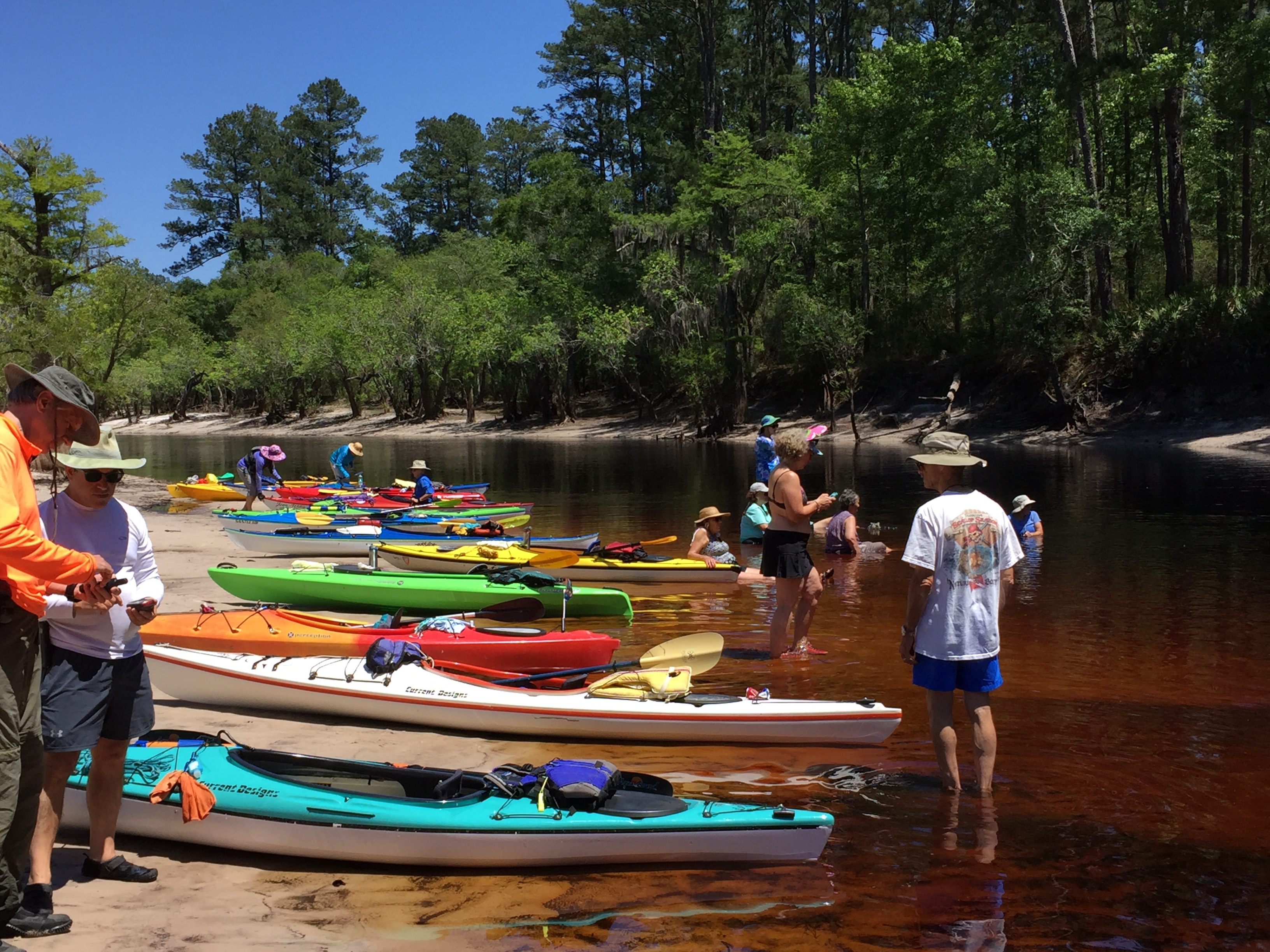 Suwannee River, Shirley Kokidko, 30.621387, -82.660998