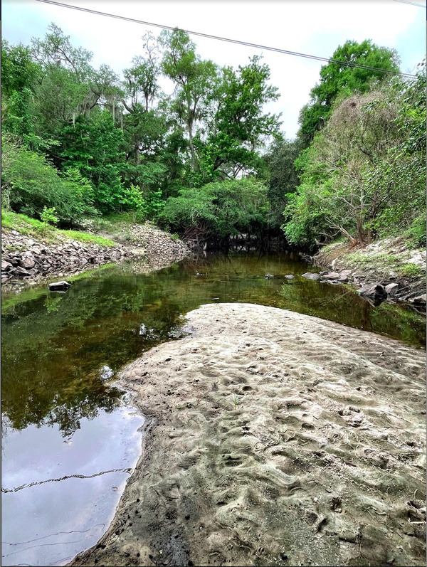 Downstream Withlacoochee River @ GA 133 2021-06-03