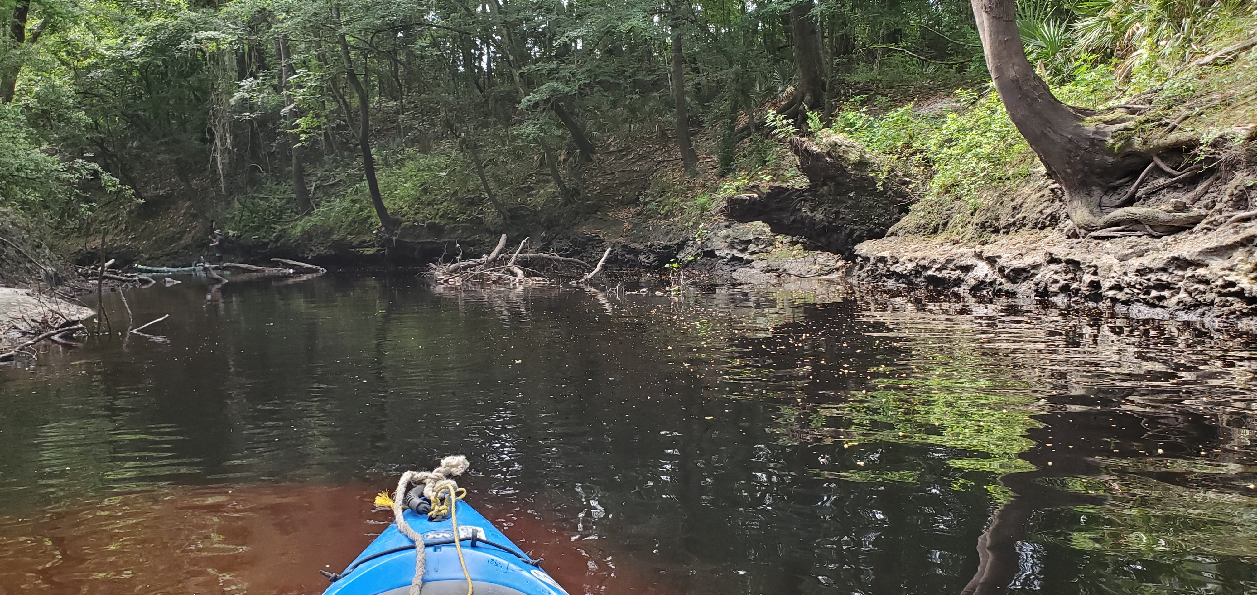 Standing paddler, 10:48:10, 30.6208164, -83.0853964