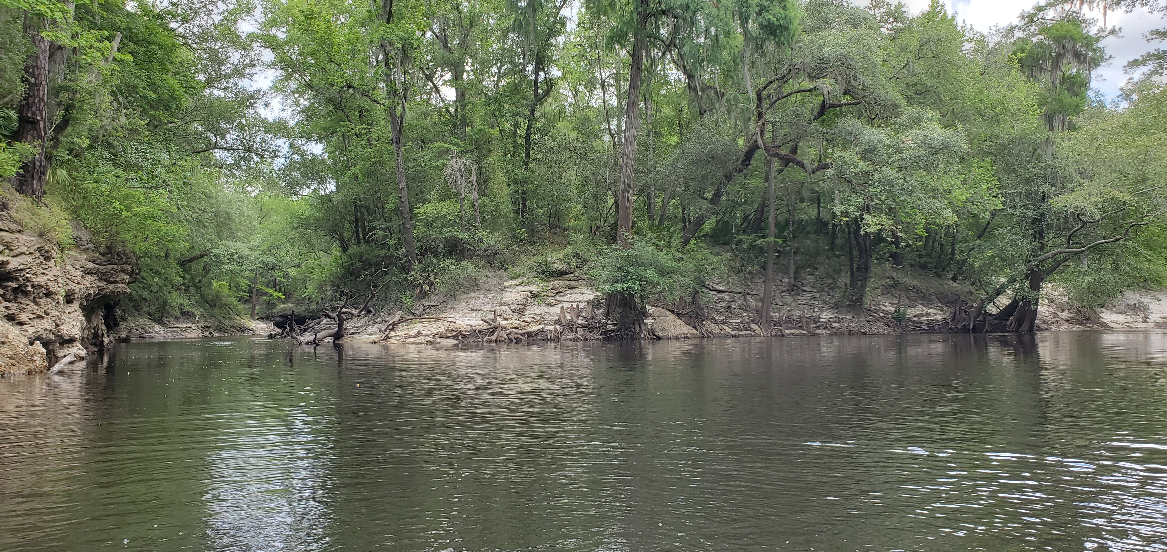 Alapahoochee River Confluence, 13:00:04, 30.6018850, -83.0739601