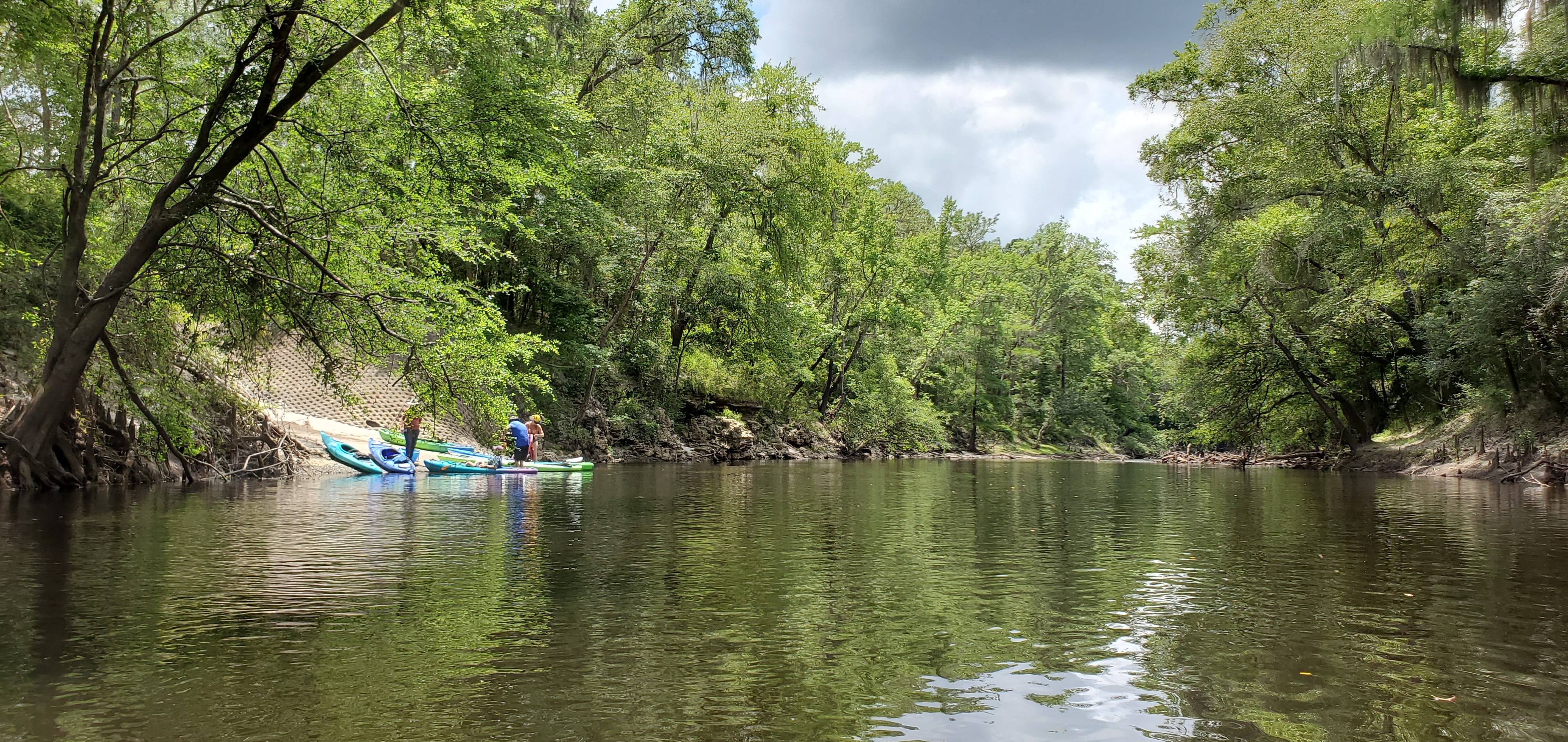 Alapaha River, Sasser Landing, 13:01:43, 30.6010318, -83.0736103