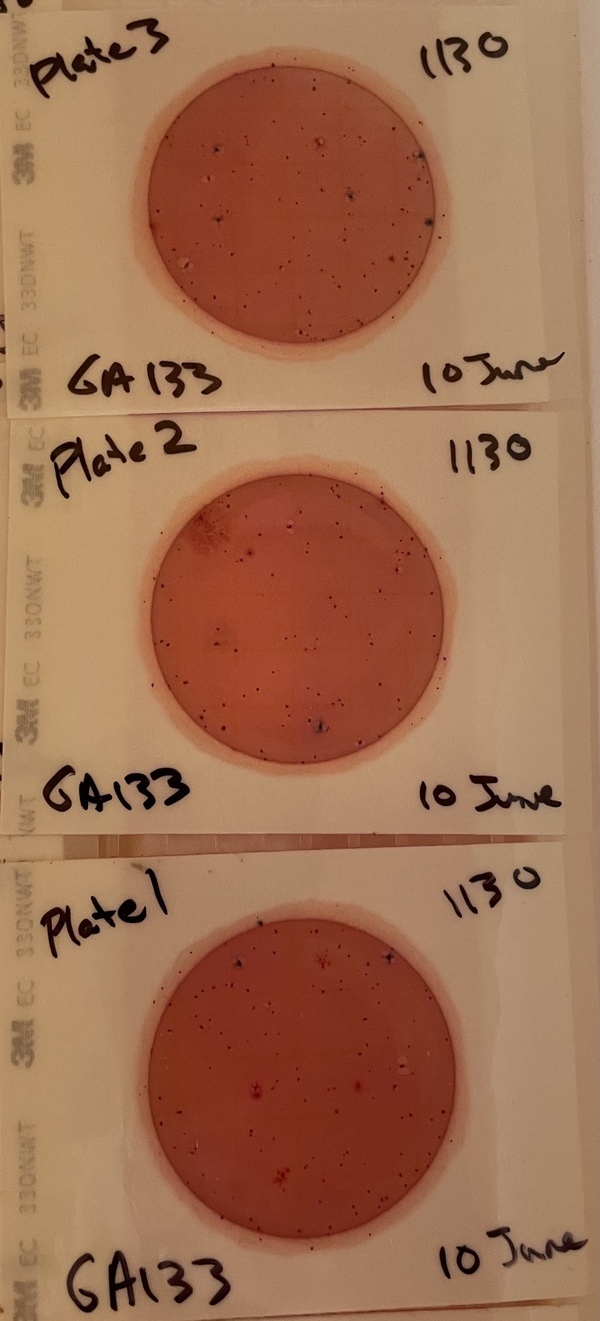 Plates, GA 133 Withlacoochee River 2016-06-10