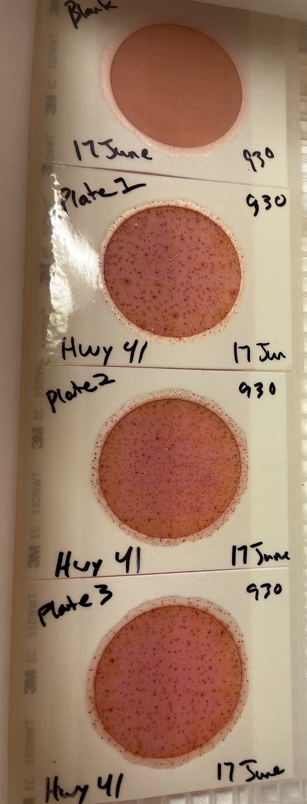 [Plates, US 41, Withlacoochee River 2021-06-17]