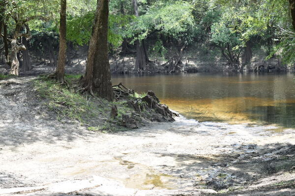 [Knights Ferry Boat Ramp, Withlacoochee River 2021-06-17]