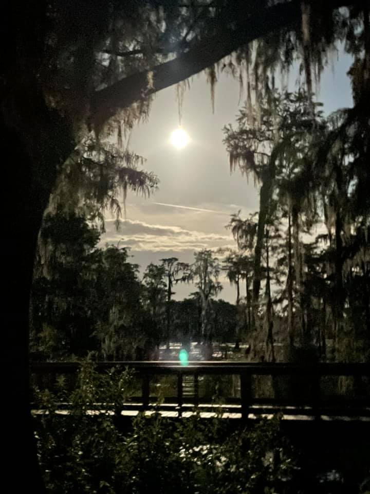 Moon over dock (BM)