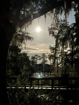 [Moon over dock (BM)]