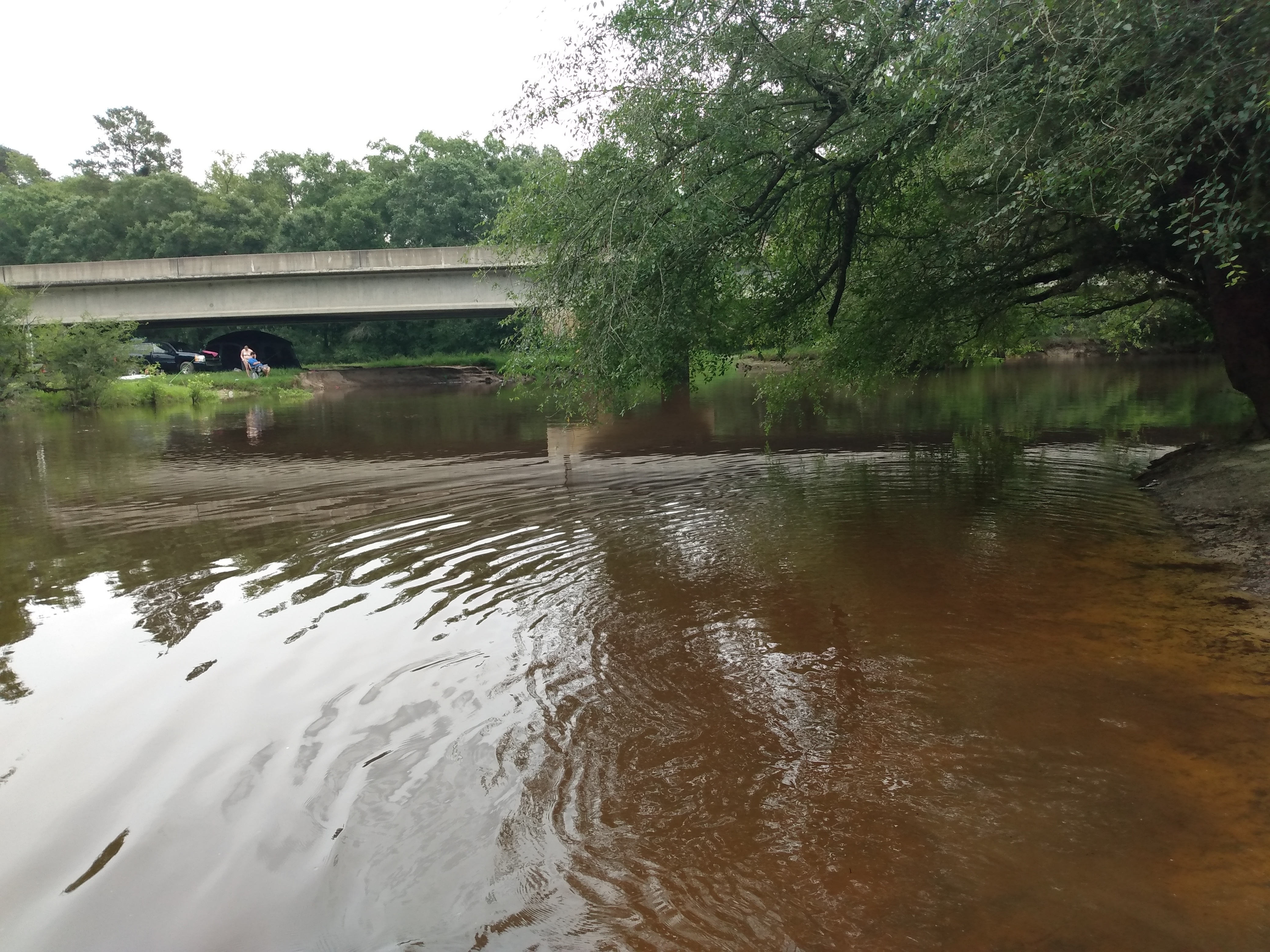 GA 135 Bridge @ Willacoochee-landing 2021-06-24