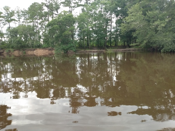 Alapaha River @ Willacoochee-landing 2021-06-24