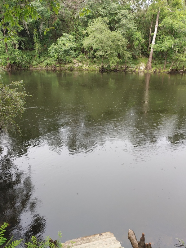 Withlacoochee River, Cleary Bluff 2021-06-25