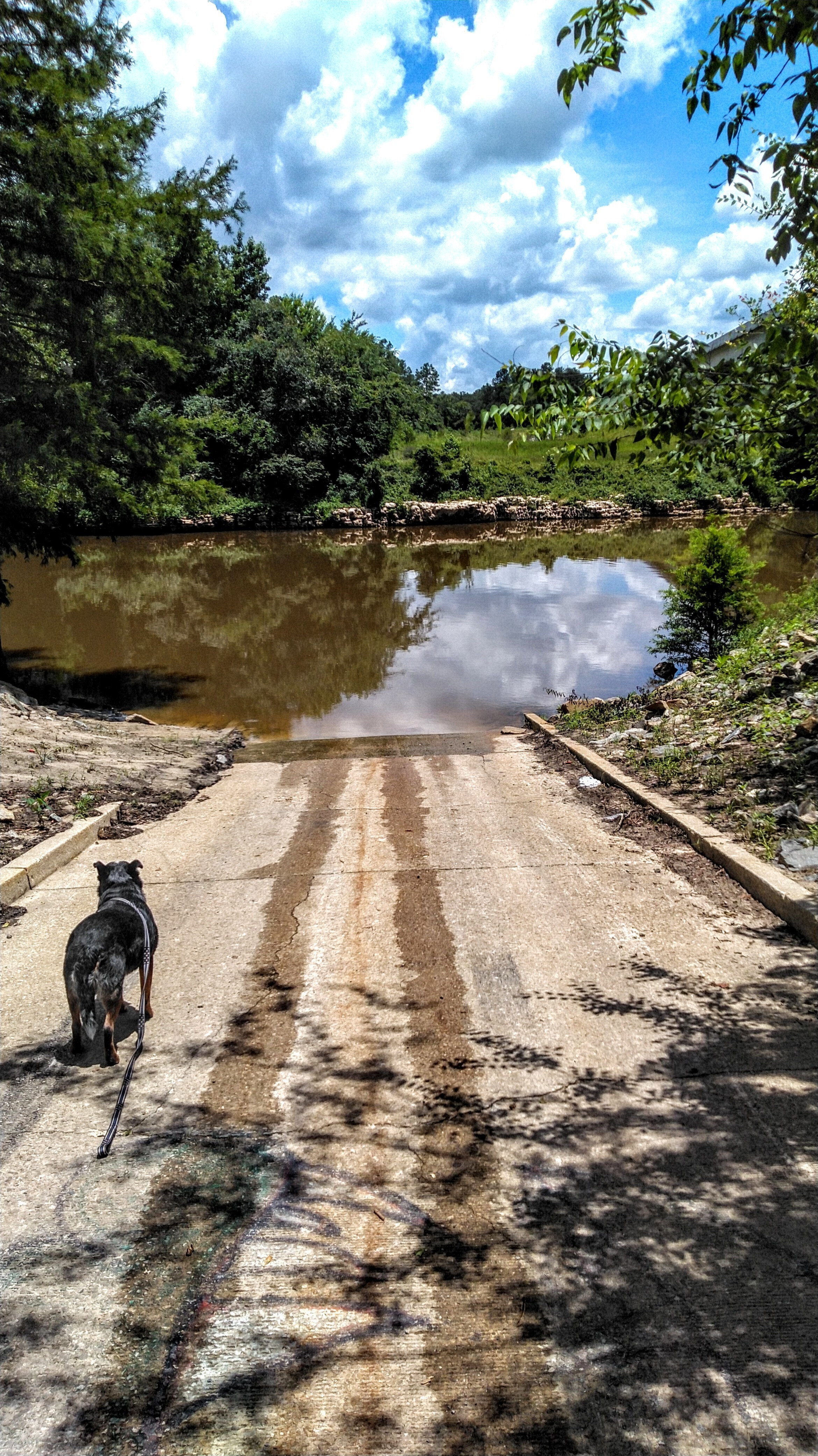 State Line Boat Ramp, Withlacoochee River 2021-06-26