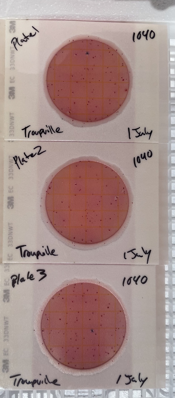 Plates, Troupville Boat Ramp 2021-07-01