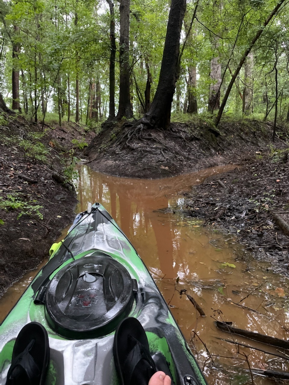 Outfall, Mulch Yard, at Withlacoochee River 2021-06-29