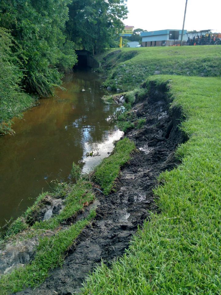 Creek erosion