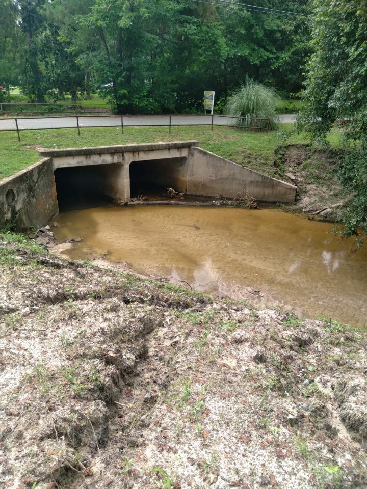 Downstream Onemile Branch and Wainwright Drive bridge