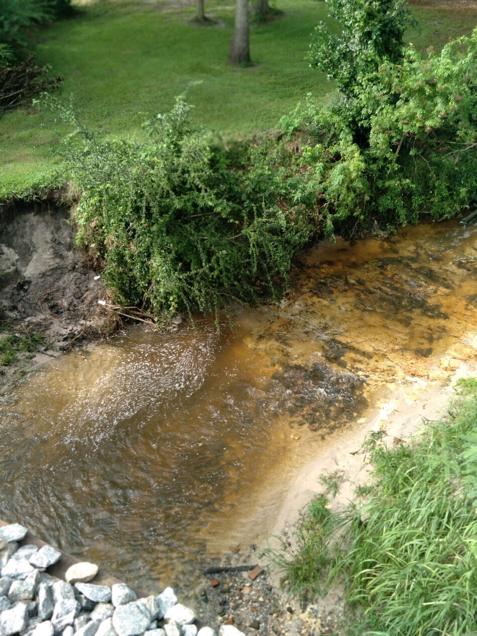 Upstream from bridge