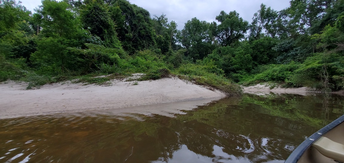 Sugar Creek Beach, 09:54:45, 30.8571165, -83.3162398