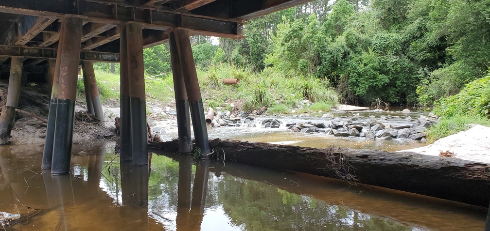 Log and sewer pipe above NSFRR Bridge, 10:19:32, 30.8520970, -83.3146510