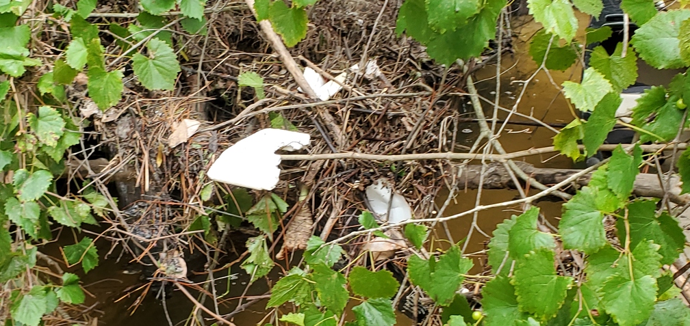 Closeup, hanging styrofoam trash, 10:44:44, 30.8527480, -83.3146960