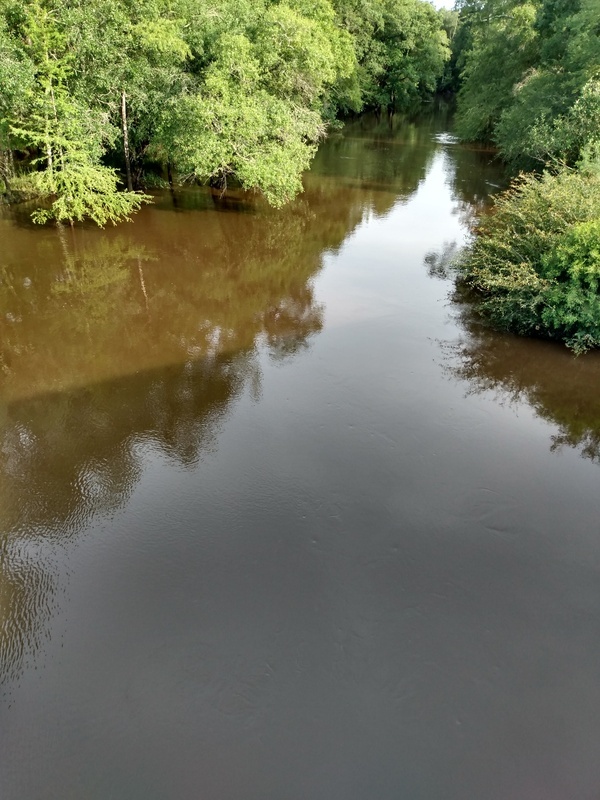 [Alapaha River, Willacoochee Landing 2021-07-21]