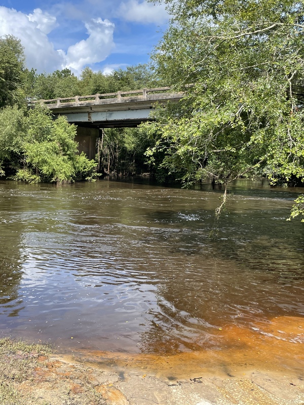 [Nankin Boat Ramp, Withlacoochee River 2021-07-22]