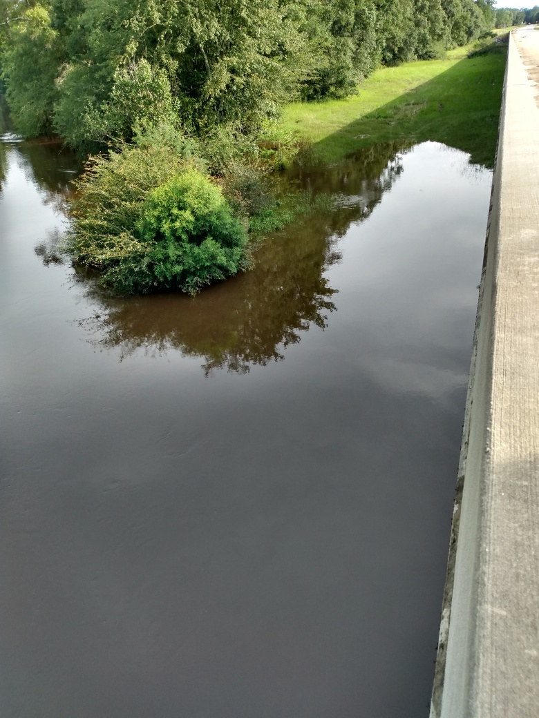 Willacoochee Landing, Alapaha River 2021-07-21