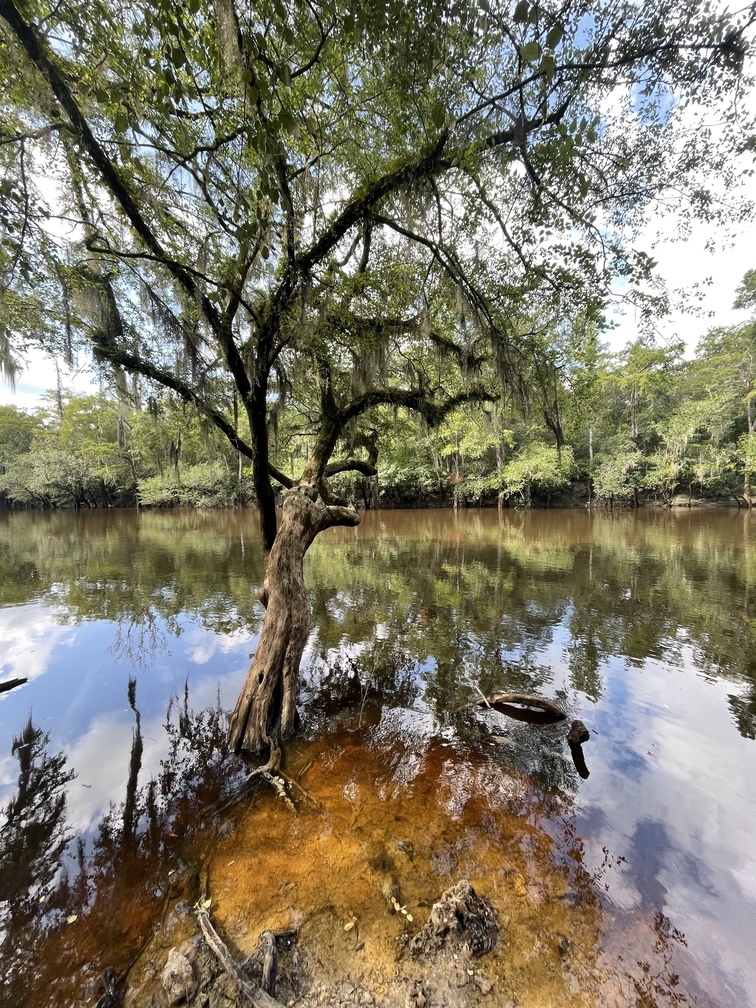 Knights Ferry Boat Ramp, Withlacoochee River 2021-07-22