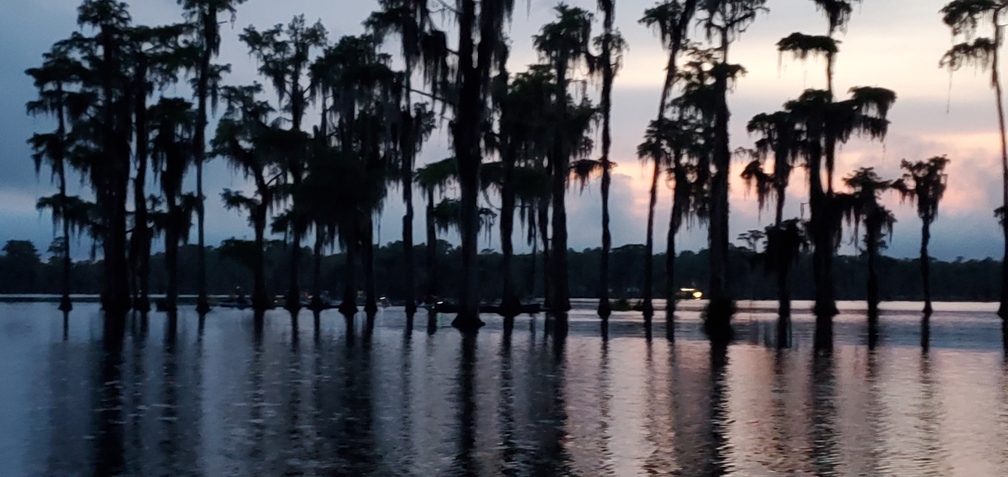 Boats beyond the trees