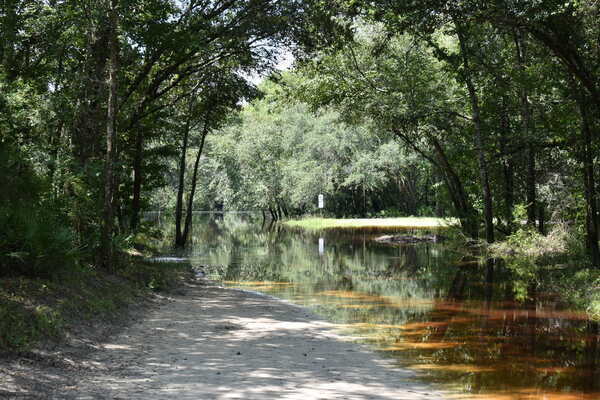 [Knights Ferry Boat Ramp, Withlacoochee River 2021-07-29]